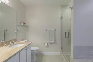 161 Cranberry Ct, Melville, NY 11747 - Photo 28