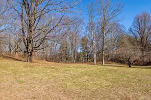 4388 Route 82, Millbrook, NY 12545 - Photo 10