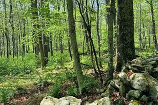 30 Narrow Rd, Kingston, NY 12401 - Photo 30