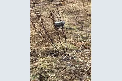 353 Henderson Road, Fremont Center, NY 12736 - Photo 12