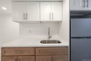 234 E 42nd St, Brooklyn, NY 11203 - Photo 22