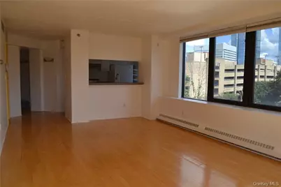 4 Martine Avenue #306, White Plains, NY 10606 - Photo 8