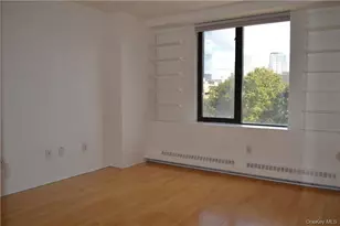 4 Martine Ave, White Plains, NY 10606 - Photo 12