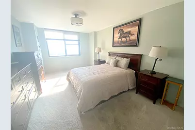 26910 Grand Central Parkway #33Y, Floral Park, NY 11005 - Photo 10