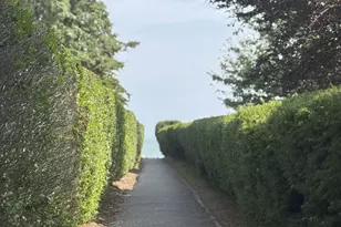 315 Old Salt Rd, Mattituck, NY 11952 - Photo 20