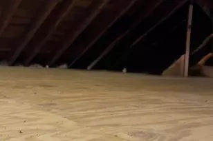 158-22 16th Ave, Whitestone, NY 11357 - Photo 16