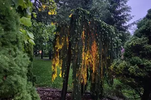 4 Mountain Brook Rd, Cornwall, NY 12518 - Photo 44