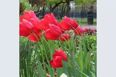 4618 161st Street #C4, Flushing, NY 11358 - Photo 14