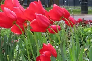 46-18 161st St, Flushing, NY 11358 - Photo 14