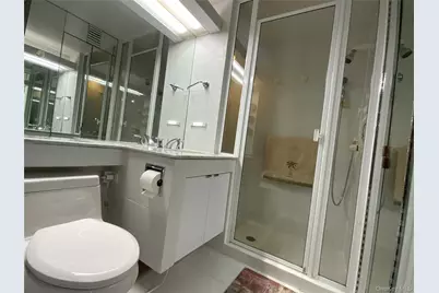 26910 Grand Central Parkway #21V, Floral Park, NY 11005 - Photo 28