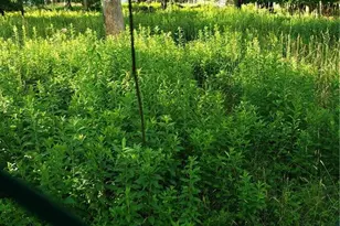 167 Old Turnpike Rd, Woodridge, NY 12789 - Photo 16