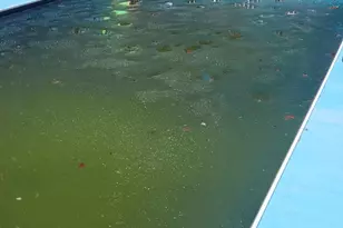 32 Cedar Ln, Wingdale, NY 12594 - Photo 4