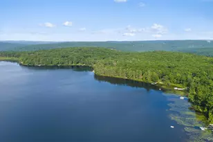 253 York Lake Estates Rd, Barryville, NY 12719 - Photo 4