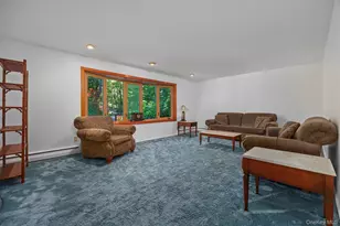 187 Milltown Rd, Holmes, NY 12531 - Photo 18