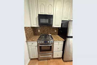 3 Birchwood Court #5B, Mineola, NY 11501 - Photo 8