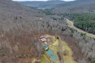 540 Lewis Rd, Walton, NY 13856 - Photo 2