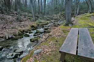 37 Hill Rd, Pine Bush, NY 12566 - Photo 44