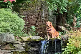 117 Liberty Ave, Port Jefferson, NY 11777 - Photo 38