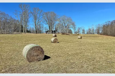 57 Boettger Road, Callicoon, NY 12723 - Photo 8