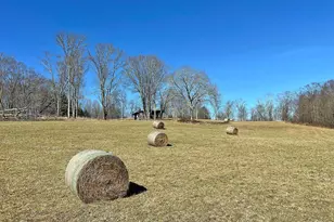 57 Boettger Rd, Callicoon, NY 12723 - Photo 8