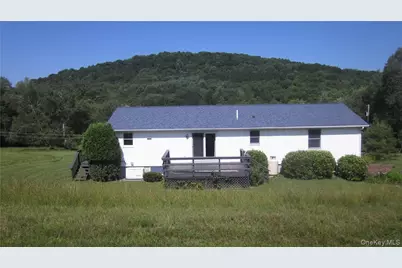 989 Lenape Lake Road, Livingston Manor, NY 12758 - Photo 2