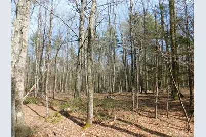 Tbd Wright Rd, Kerhonkson, NY 12446 - Photo 10