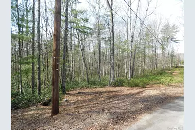 Tbd Wright Rd, Kerhonkson, NY 12446 - Photo 6