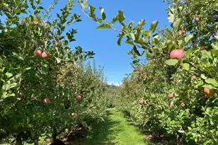 223 Plattekill Rd, Marlboro, NY 12542 - Photo 30