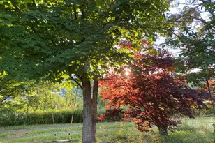 223 Plattekill Rd, Marlboro, NY 12542 - Photo 28