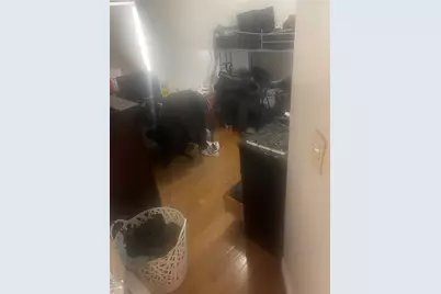 162-21 102nd Street, Howard Beach, NY 11414 - Photo 8