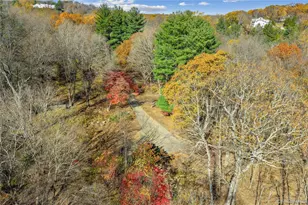 115 Old Roaring Brook Rd, Mount Kisco, NY 10549 - Photo 18