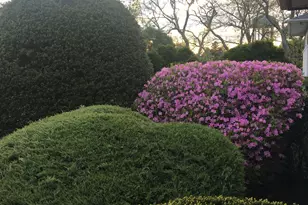 57 Merry Ln, Jericho, NY 11753 - Photo 18