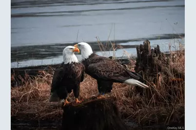 56 Beaver Brook Road, Yulan, NY 12792 - Photo 32