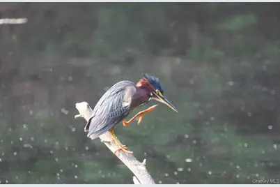 56 Beaver Brook Road, Yulan, NY 12792 - Photo 38