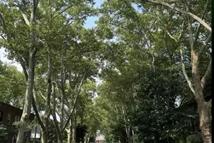 40-30 44th St, Sunnyside, NY 11104 - Photo 32