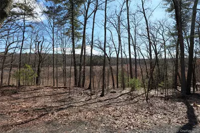 176 Lake Road, Lake Katrine, NY 12449 - Photo 4