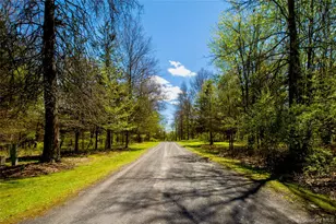 15 Unity Ln, New Paltz, NY 12561 - Photo 50