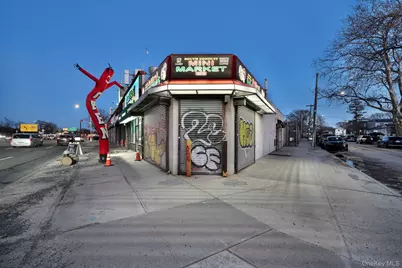 23002 S Conduit Avenue, Springfield Gardens, NY 11413 - Photo 1