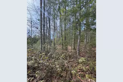 Bennett Road, Napanoch, NY 12458 - Photo 1