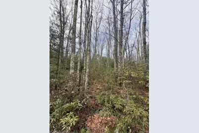 Bennett Road, Napanoch, NY 12458 - Photo 6
