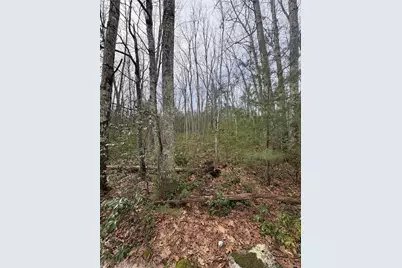 Bennett Road, Napanoch, NY 12458 - Photo 2