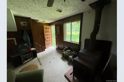 9 Lake Drive, Parksville, NY 12768 - Photo 6