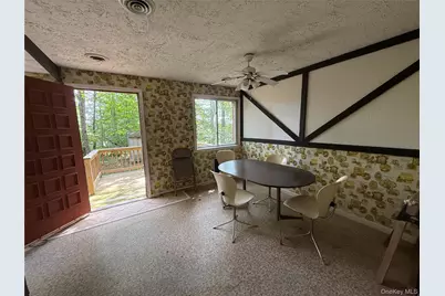 9 Lake Drive, Parksville, NY 12768 - Photo 22