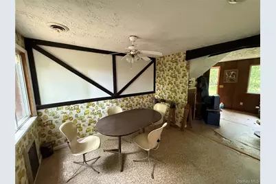 9 Lake Drive, Parksville, NY 12768 - Photo 12