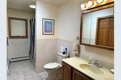 60 Manchester Road, Rock Hill, NY 12775 - Photo 16