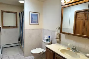 60 Manchester Rd, Rock Hill, NY 12775 - Photo 16