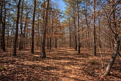 4 Mews Court, Holtsville, NY 11742 - Photo 20