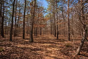 4 Mews Ct, Holtsville, NY 11742 - Photo 20