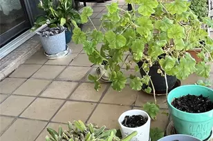 31-35 31st St, Astoria, NY 11106 - Photo 8