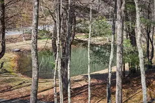 611 N Clove Rd, Millbrook, NY 12545 - Photo 38